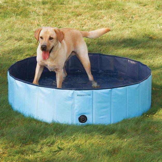 Picture of Trixie Köpek Havuzu Çap 80 Cm Derinlik 20 Cm