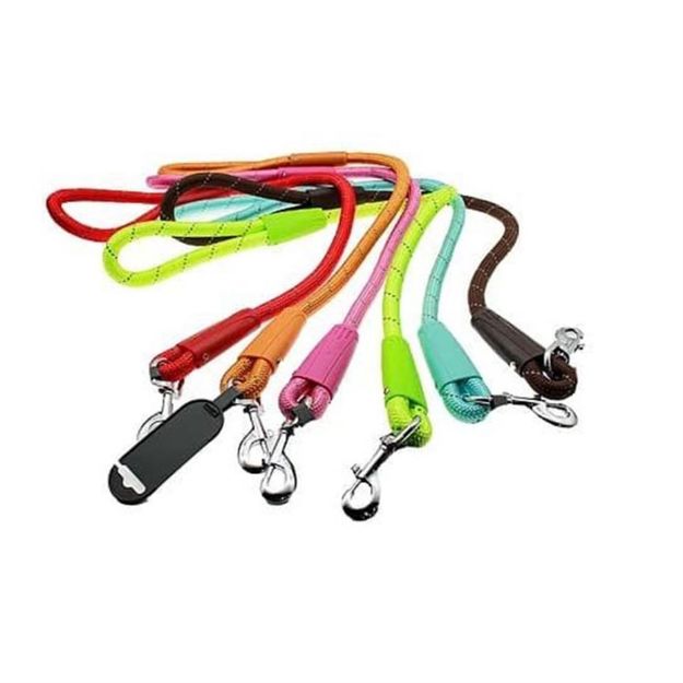 Picture of Maxi Life Renkli Fitil Köpek Gezdirme Kayışı 1,2 Mm 120 Cm