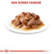 Picture of Royal Canin Digest Sensitive Kedi Konservesi 85Gr