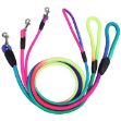 Picture of Maxi Life Renkli Fitil Köpek Gezdirme Kayışı 8 Mm 120 Cm