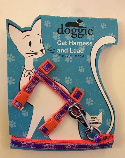 Picture of Doggie Etiketli Dokuma Kedi Göğüs Gezdirme Takımı No:2 Turuncu