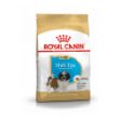 Picture of Royal Canin Shih Tzu Puppy Yavru Köpek Maması 1,5 Kg