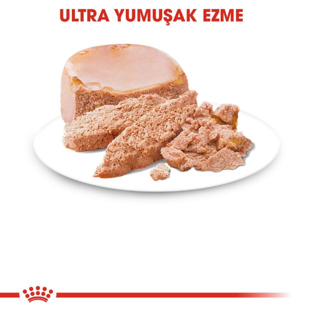 Picture of Royal Canin Starter Yavru Köpek Konservesi 195Gr