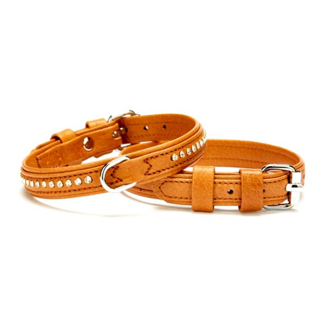 Picture of Doggie Kristal Taşlı Flotter Köpek Boyun Tasması Kamel FBT-1551 XS