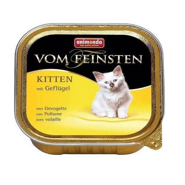 Picture of Anımonda Vom Feınsten Menu Kıtten 100G Kumes Hay. 200-083449