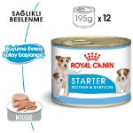 Picture of Royal Canin Starter Yavru Köpek Konservesi 195Gr