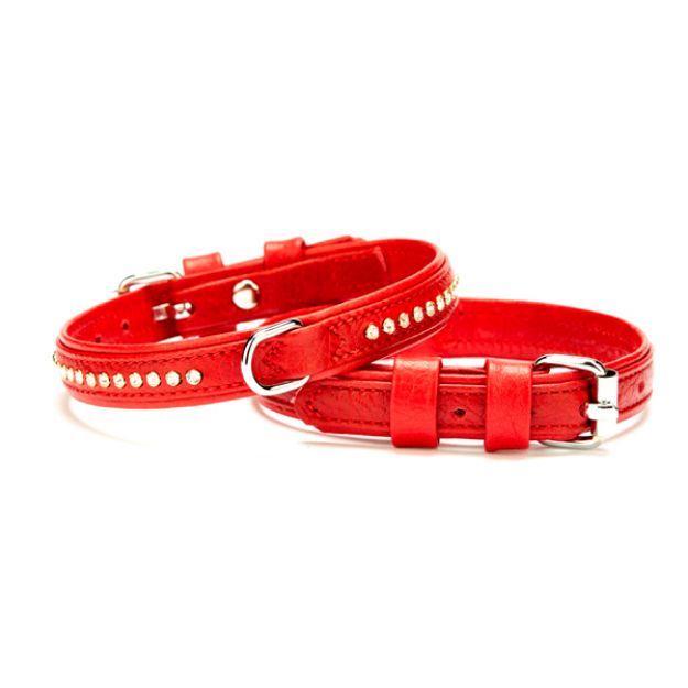 Picture of Doggie Kristal Taşlı Flotter Köpek Boyun Tasması Kırmızı FBT-1551 XS