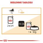Picture of Royal Canin Intense Beauty Jelly Kedi Konservesi 85gr