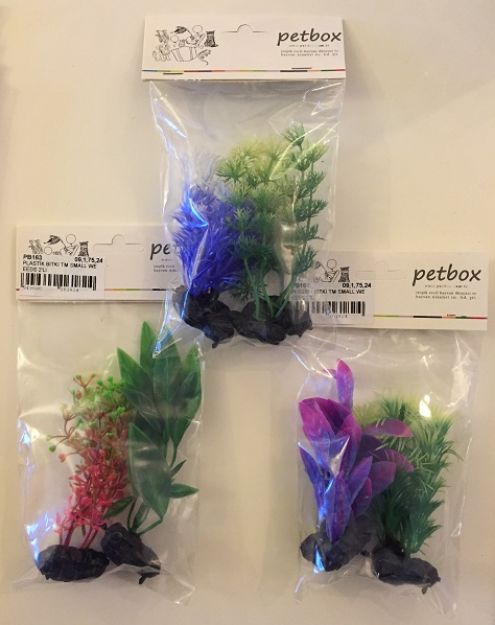 Picture of Anka Plastik Bitki Tm Small Weeds 2 Li Pb160