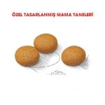 Picture of Royal Canin Dermacomfort Maxi Hassas Deri ve Tüylü Köpek Maması 12 kg