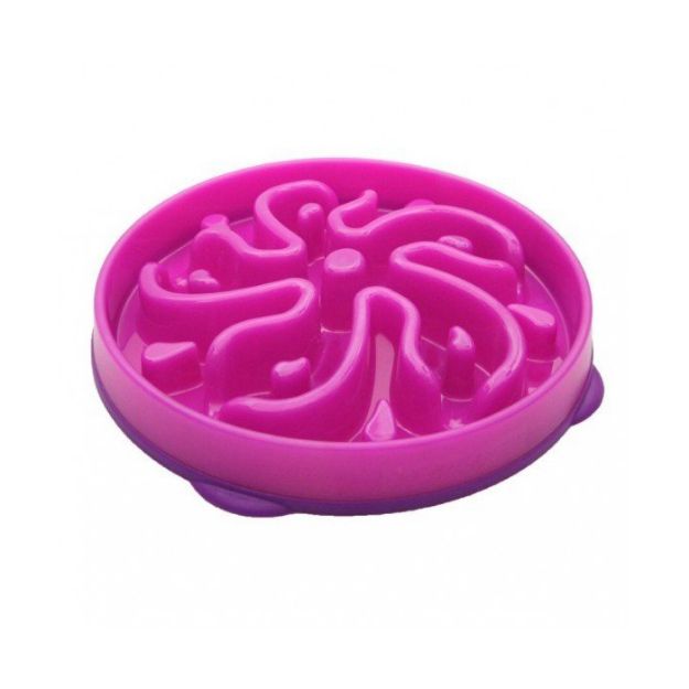 Picture of Pawise Köpekler için Yavaş Beslenme Mama Kabı 27cm 1500ml