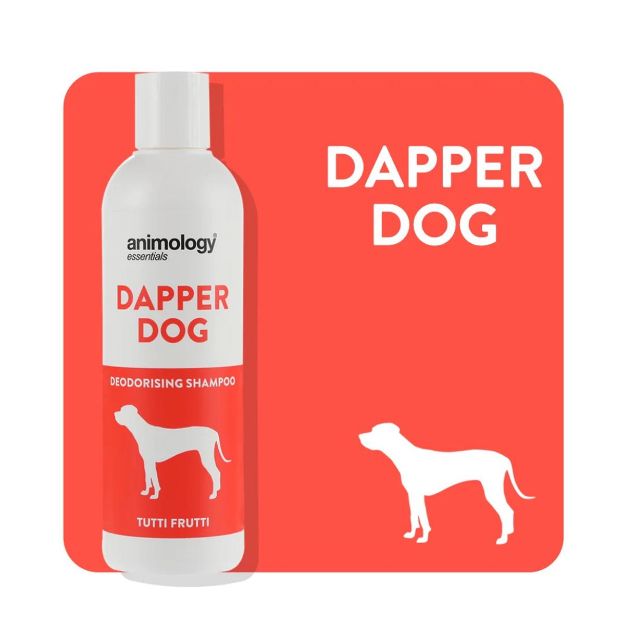 Picture of Animology Essentials Dapper Dog Shampoo Köpek Şampuanı 250 ML
