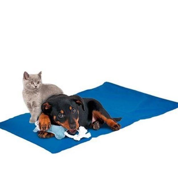 Picture of Nunbell Serinleticili Köpek Yatağı XXL 50x90 cm