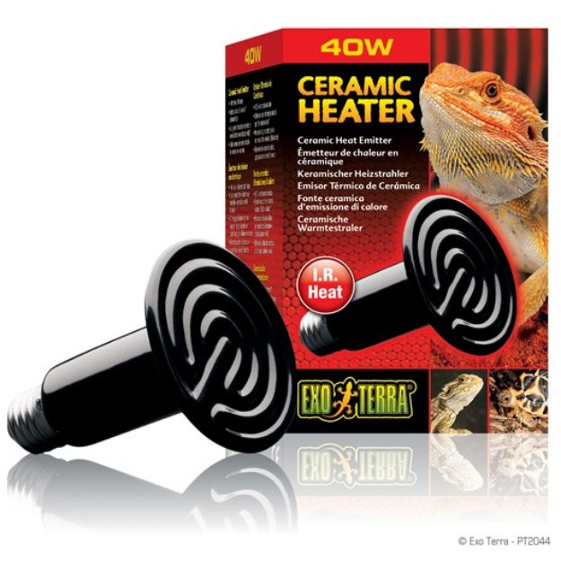 Picture of Exo Terra Ceramic Heater Sürüngen İçin Isıtıcı Lamba 40 watt