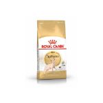 Picture of Royal Canin Sphynx Yetişkin Kedi Maması 2 Kg