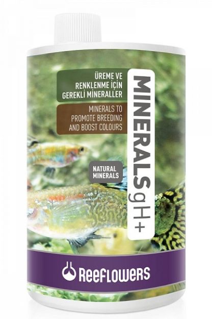 Picture of Reef Flowers Minerals GH+ Akvaryum Su Katkısı 1000 ml