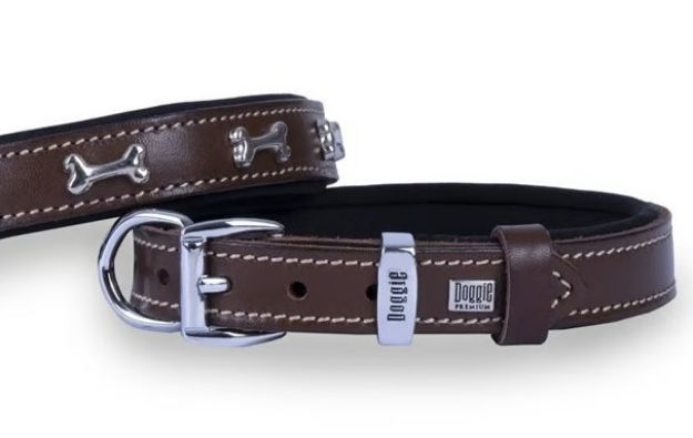 Picture of Konfor Deri Kemik Süslü Boyun Tasması Kahve 4x47-55cm Sbt4062sbrown