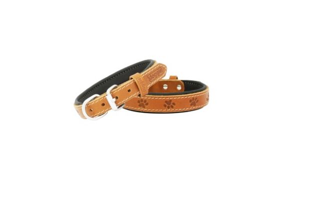 Picture of Doggie Comfort Pati Desenli Deri Boyun Tasması 2,0x40 cm SBT-2036 S