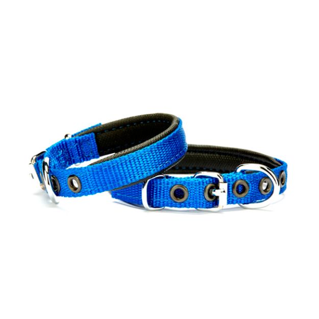 Picture of Konfor Dokuma Boyun Tasması Royalmavi 1,5x20-25cm Dsbt1510sroyalblue