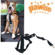 Picture of Pawise Emniyet Kemeri Tokalı Köpek Tasması Medium 50-70 cm