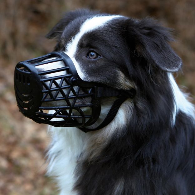 Picture of Trixie Köpek Plastik Ağızlık , L , 26 Cm