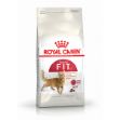 Picture of Royal Canin Fit Kedi Maması 4Kg