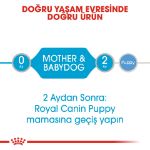 Picture of Royal Canin Starter Yavru Köpek Konservesi 195Gr