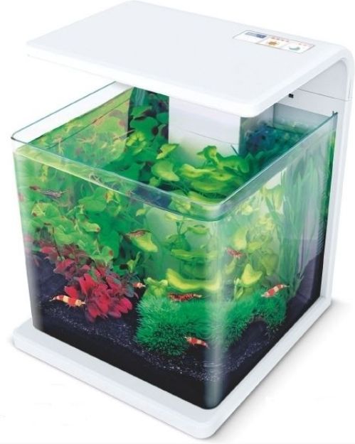 Picture of Hailea E15 Ledli Nano Akvaryum 15 lt Beyaz E15W