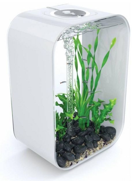 Picture of Biorb Life Dikdörtgen Akvaryum Led Aydınlatmalı 60 lt Beyaz