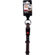 Picture of Flamingo Köpek Boyun Tasması Kahve 45-65 cm 