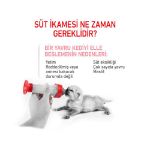 Picture of Royal Canin Baby Cat Milk Yavru Kedi Süt Tozu 300 gr
