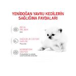 Picture of Royal Canin Baby Cat Milk Yavru Kedi Süt Tozu 300 gr