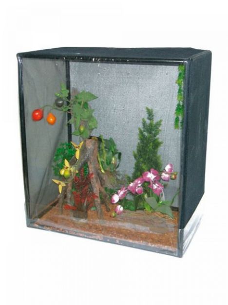 Picture of Wave Reptile Domus 80x40x80 cm