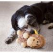 Picture of Kong Köpek Peluş Hışırtılı Oyuncak Koyun L 21cm