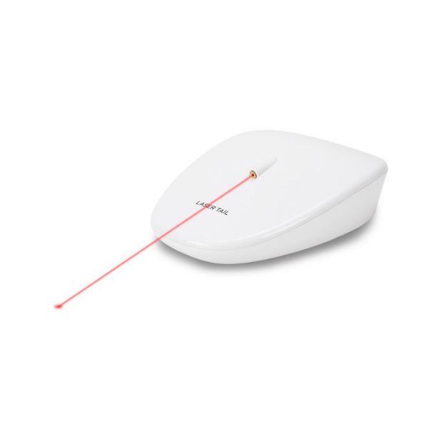 Picture of PetSafe Gezen Lazer Oyuncak