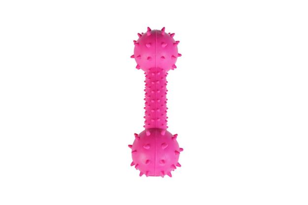 Picture of Zampa Köpekler İçin Zilli Dikenli Dumbell Oyuncak, 14cm