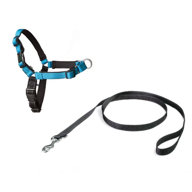 Picture of PetSafe Deluxe Easy Walk Harness Mavi Köpek Göğüs Tasması Small 38-51 cm