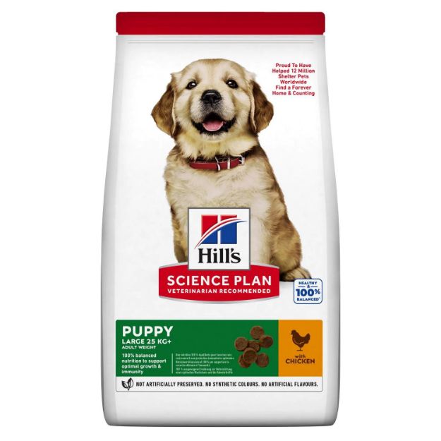 Picture of Hills Puppy Large Tavuklu Büyük Irk Yavru Köpek Maması 2,5 Kg