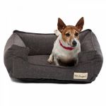 Picture of Pet Comfort Alpha Mirandus 17 Kedi ve Köpek Yatağı 50 x 60 Cm