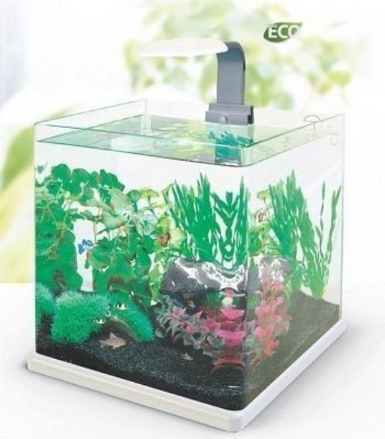 Picture of Hailea C15 Nano Tatlı Su Akvaryumu 15 Litre Beyaz
