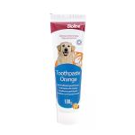 Picture of Bioline Portakal Aromalı Diş Macunu 100 Gr