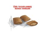 Picture of Royal Canin Ageing +12 Yaşlı Kedi Maması 2Kg