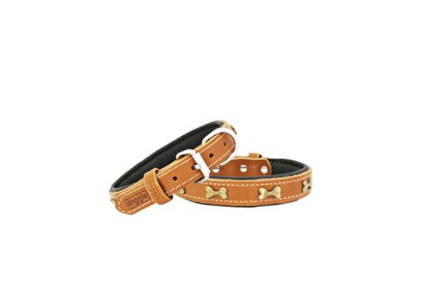 Picture of Doggie Comfort Kemik Metal Süslü Deri Boyun Tasması 2,0x40 cm SBT-2062 S