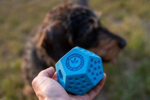 Picture of Kiwi Walker Dayanıklı Yüzen Köpek Oyuncağı Dodecaball Midi Pembe