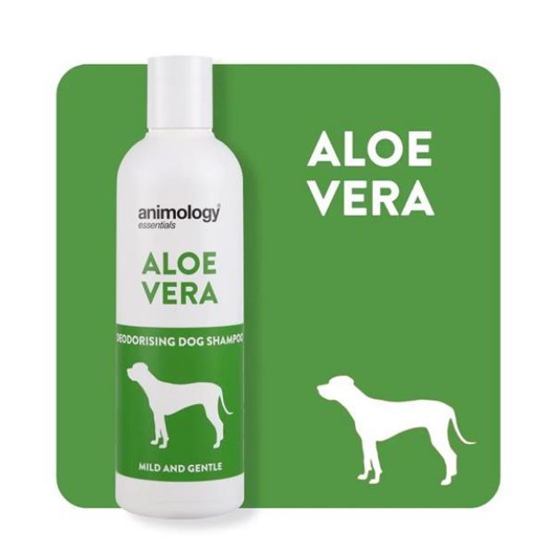 Picture of Animology Essentials Aloe Vera Shampoo Köpek Şampuanı 250 ML