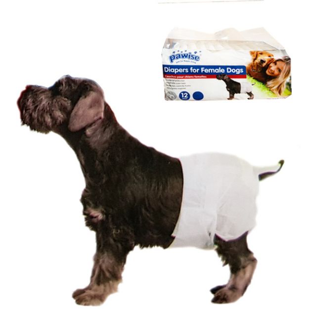 Picture of Pawise Köpek Alt Bağlama Bezi L Boy 12 Adet