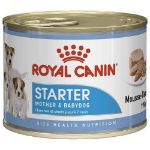 Picture of Royal Canin Starter Yavru Köpek Konservesi 195Gr