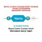 Picture of Royal Canin Cocker Junior Yavru Köpek Maması 3 Kg