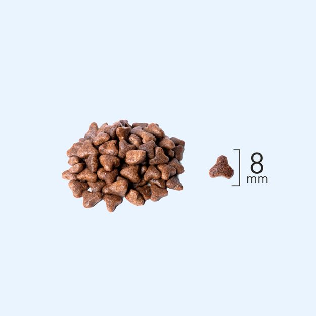 Picture of Natura LowGrain Kitten Food with Chicken & Blueberry 2kg