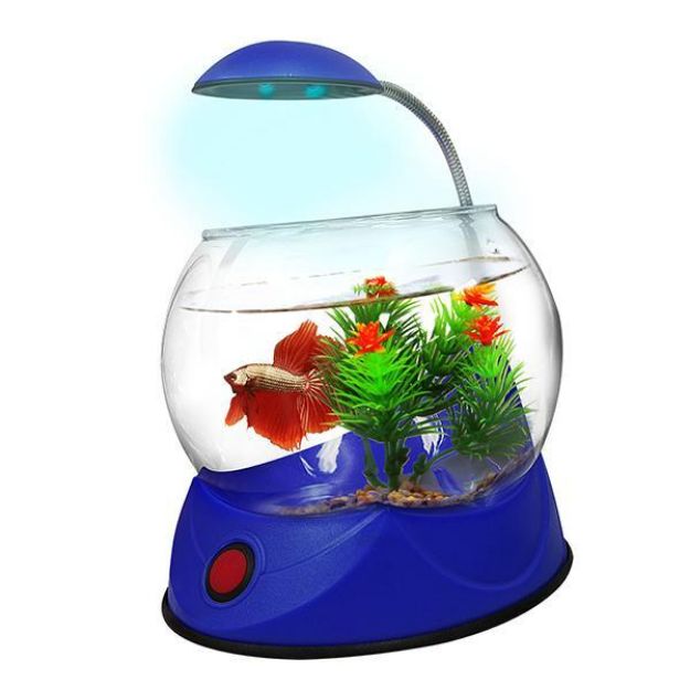 Picture of Hailea V-02S Fanus 1,8 Lt Mavi Led Aydınlatmalı Çakıl ve Süs Hediyeli